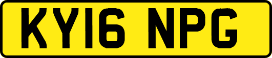 KY16NPG