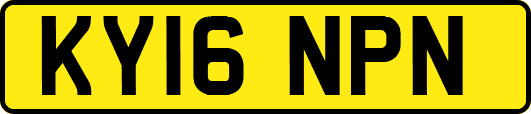 KY16NPN