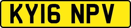 KY16NPV