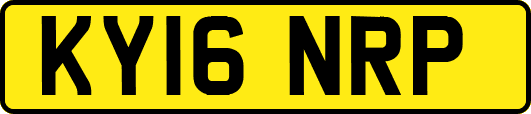 KY16NRP