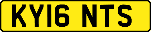 KY16NTS