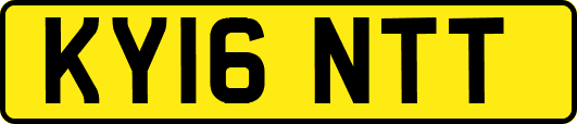 KY16NTT