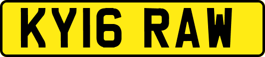 KY16RAW