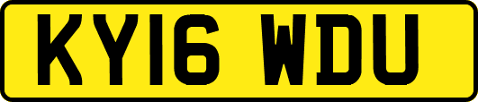 KY16WDU
