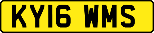 KY16WMS