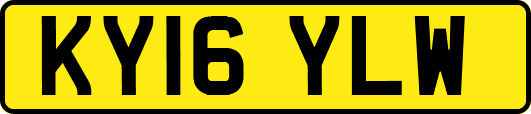 KY16YLW