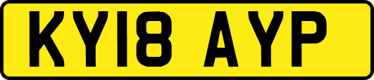 KY18AYP