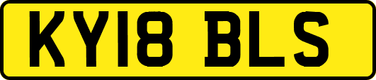 KY18BLS