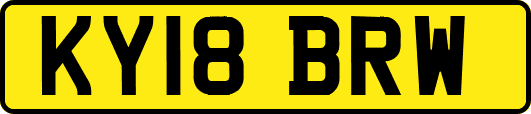 KY18BRW