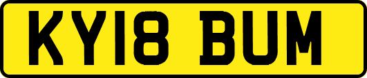KY18BUM