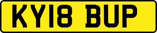 KY18BUP