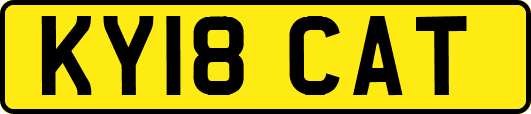 KY18CAT