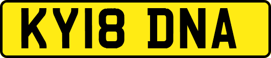 KY18DNA