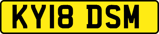 KY18DSM