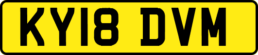 KY18DVM