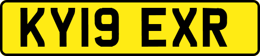 KY19EXR