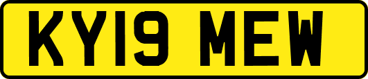 KY19MEW