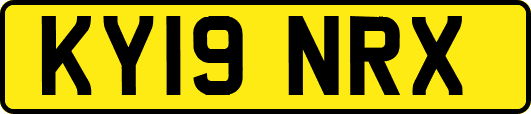 KY19NRX