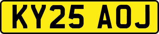 KY25AOJ