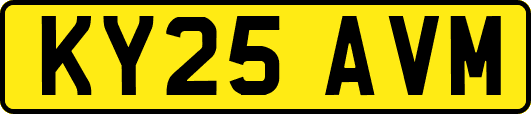 KY25AVM