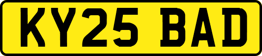 KY25BAD