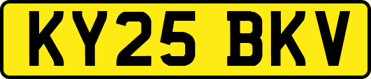 KY25BKV