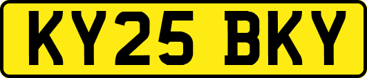 KY25BKY