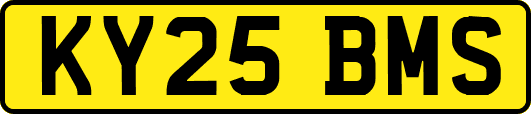 KY25BMS