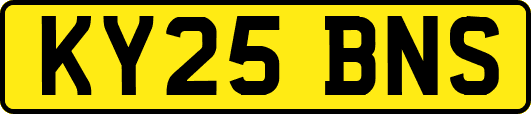 KY25BNS