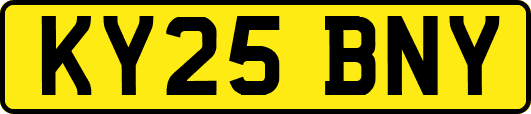 KY25BNY