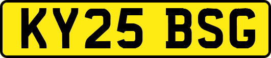 KY25BSG