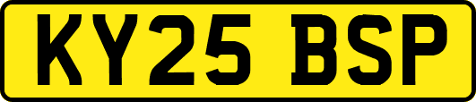 KY25BSP