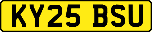 KY25BSU