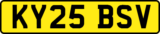 KY25BSV