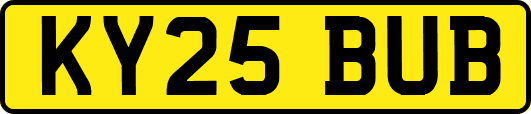 KY25BUB