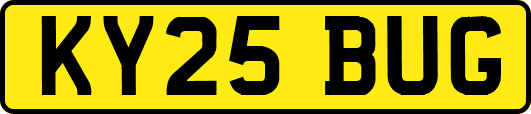 KY25BUG