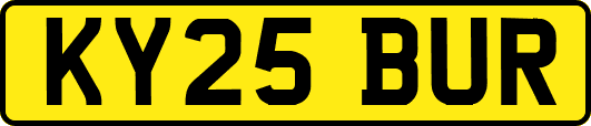 KY25BUR