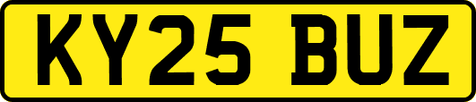 KY25BUZ