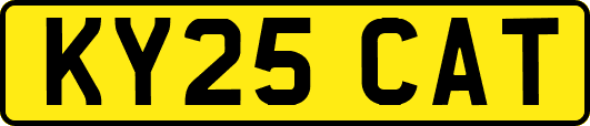 KY25CAT
