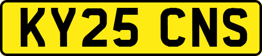 KY25CNS