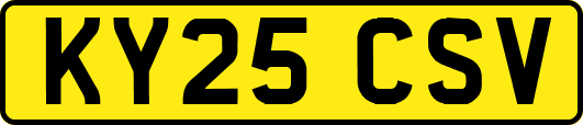 KY25CSV