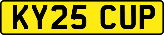 KY25CUP