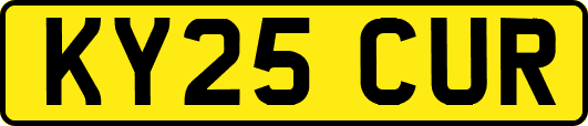 KY25CUR