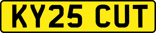 KY25CUT