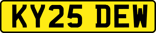 KY25DEW