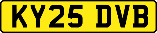KY25DVB