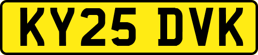 KY25DVK