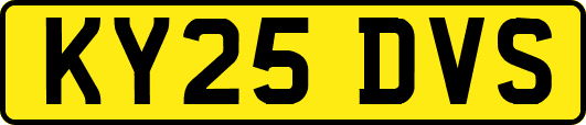 KY25DVS