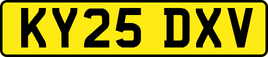 KY25DXV