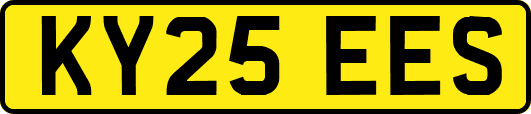 KY25EES
